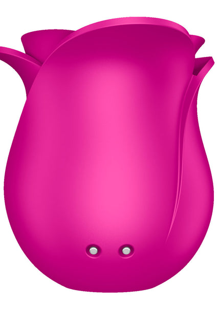 Satisfyer Pro 2 Modern Blossom - Modern Pink USB Rechargeable Air Pulse Rose Stimulator