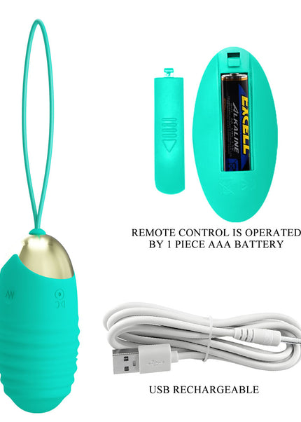 Party Up IAN Remote Egg - Teal - Teal USB Rechargeable Vibrating Egg with Wireless Remote