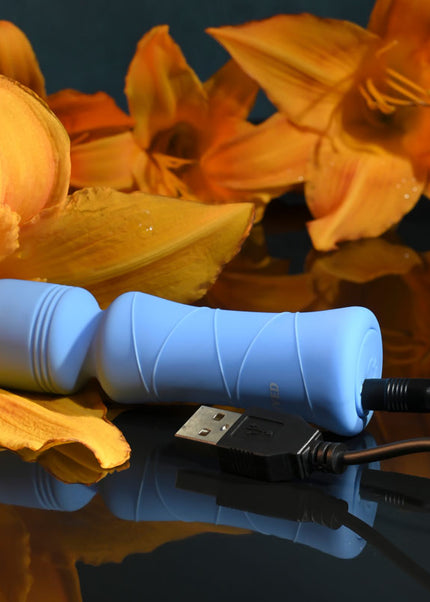 Evolved Out Of The Blue - Blue 10.5 cm USB Rechargeable Mini Massager Wand