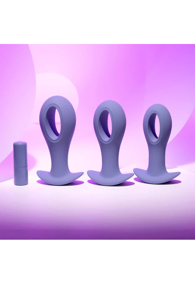 Evolved HOLE PUNCH PLUG SET - Purple Butt Plugs with Interchangeable Bullet - Set of 3 Sizes
