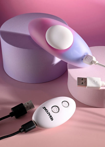 Evolved PARADISE PANTY - Pink/Purple USB Rechargeable Panty Vibrator with Remote Control