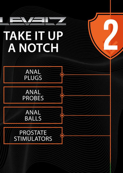 LEVELZ Silicone Anal Plug with Loop - Small - Black - Black Small Butt Plug