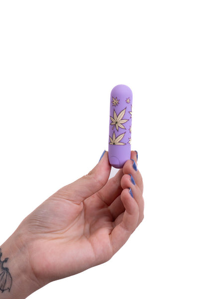 Maia Jessi 420 - Violet 7.6 cm USB Rechargeable Bullet