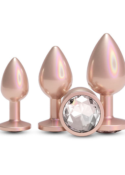 Rear Assets Trainer Kit - Iridescent Champagne - Iridescent Champagne Metallic Butt Plugs - Set of 3 Sizes