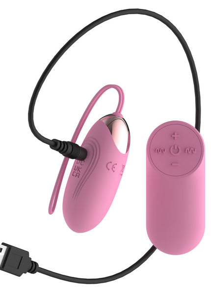 Passion Play Silicone Vibrating Egg - Small - Pink USB Rechargeable Vibrating Egg with Wireless Remote