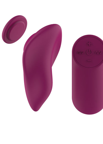 Passion Play Magnet Panty Vibe with Remote - Purple USB Rechargeable Panty Vibrator with Wireless Remote Control