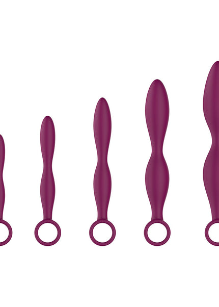 Passion Play Silicone Dilator Set - Purple Dilator Kit - Set of 5 Sizes