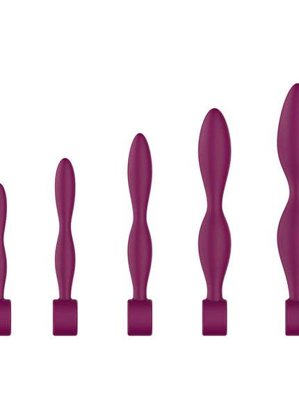 Passion Play Silicone Dilator Set - Purple Dilator Kit - Set of 5 Sizes