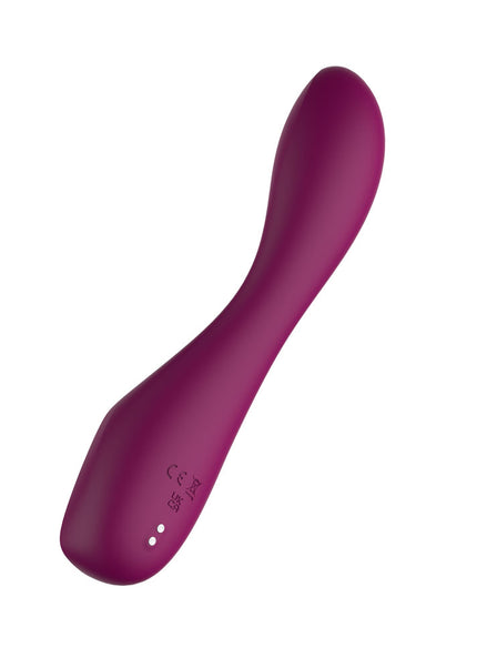 Passion Play G-Spot Vibrator with LED Screen - Purple 19.2 cm USB Rechargeable G-Spot Vibrator