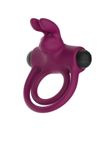 Passion Play Silicone Rabbit Vibrating Cockring - Purple USB Rechargeable Vibrating Penis and Balls Ring