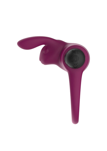 Passion Play Silicone Rabbit Vibrating Cockring - Purple USB Rechargeable Vibrating Penis and Balls Ring