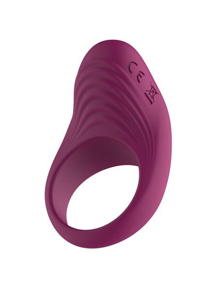 Passion Play Silicone Vibrating Cockring - Purple USB Rechargeable Penis Ring