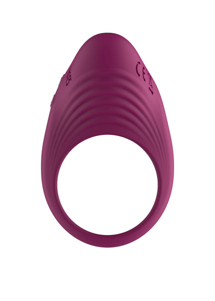 Passion Play Silicone Vibrating Cockring - Purple USB Rechargeable Penis Ring