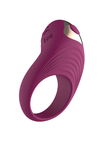 Passion Play Silicone Vibrating Cockring - Purple USB Rechargeable Penis Ring