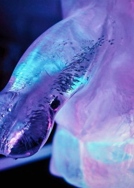 Huge Penis Ice Luge - Party Novelty