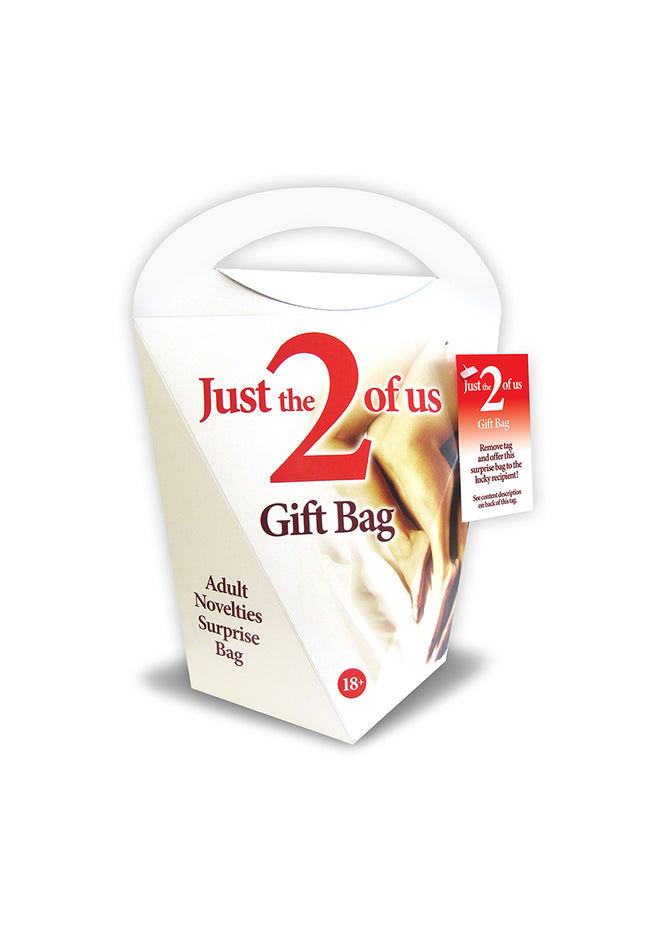Just The 2 Of Us Gift Bag - Adult Novelties Surprise Bag - 6 Piece Kit