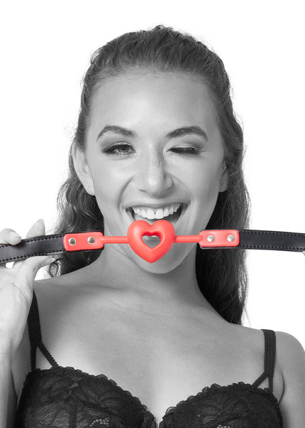 Sex & Mischief Amor Ball Gag - Red/Black Mouth Restraint
