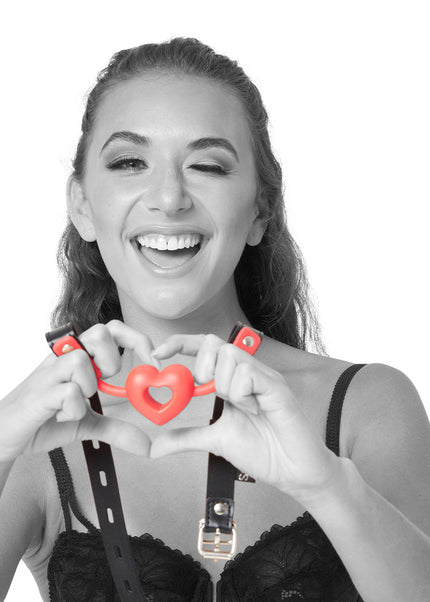 Sex & Mischief Amor Ball Gag - Red/Black Mouth Restraint