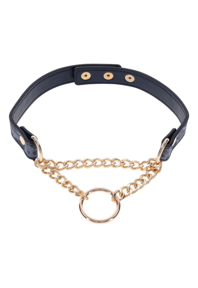 Sex & Mischief Cougar Day Collar - Navy Blue/Gold Collar