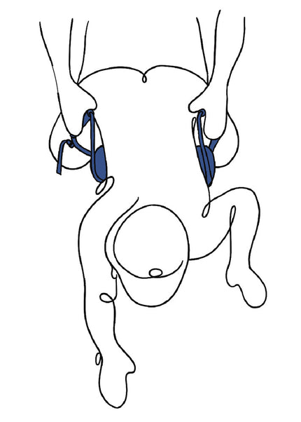 Pivot Deluxe Doggie Strap - Black Position Harness Strap