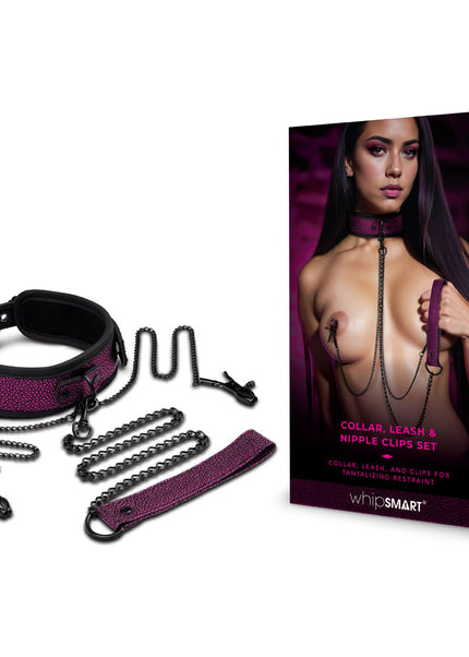 WhipSmart Dragons Lair Collar